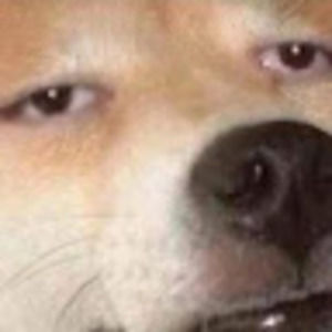 Meet your Posher, Xanny